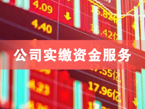 文山公司实缴资金服务