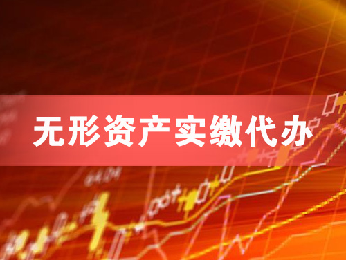 文山无形资产实缴资本代办