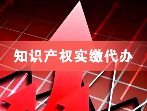 文山知识产权实缴资本代办